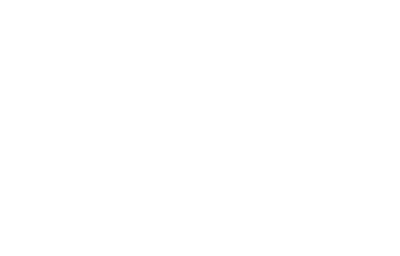 The ODAAT Orizuru mark: a folded paper crane drawn in flat white, wings open, head and tail angled out from a single form.